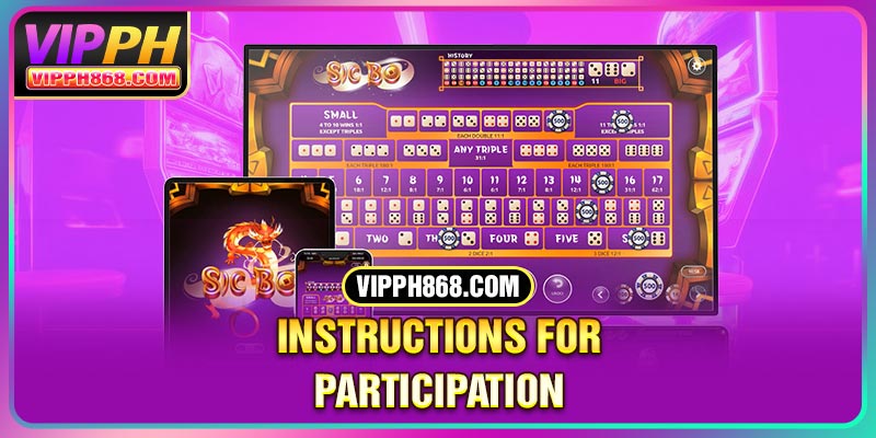 Instructions for participation 