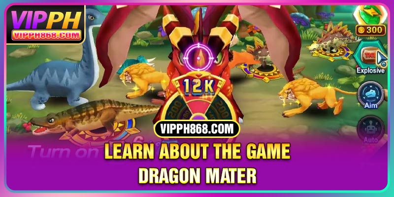 Learn about the game Dragon Mater